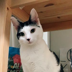 Meet your Posher, Mary